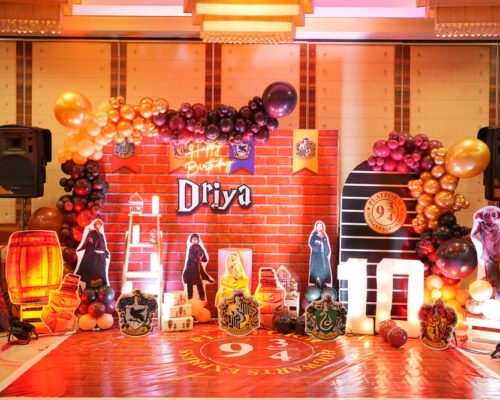 Birthday Party Theme Decor